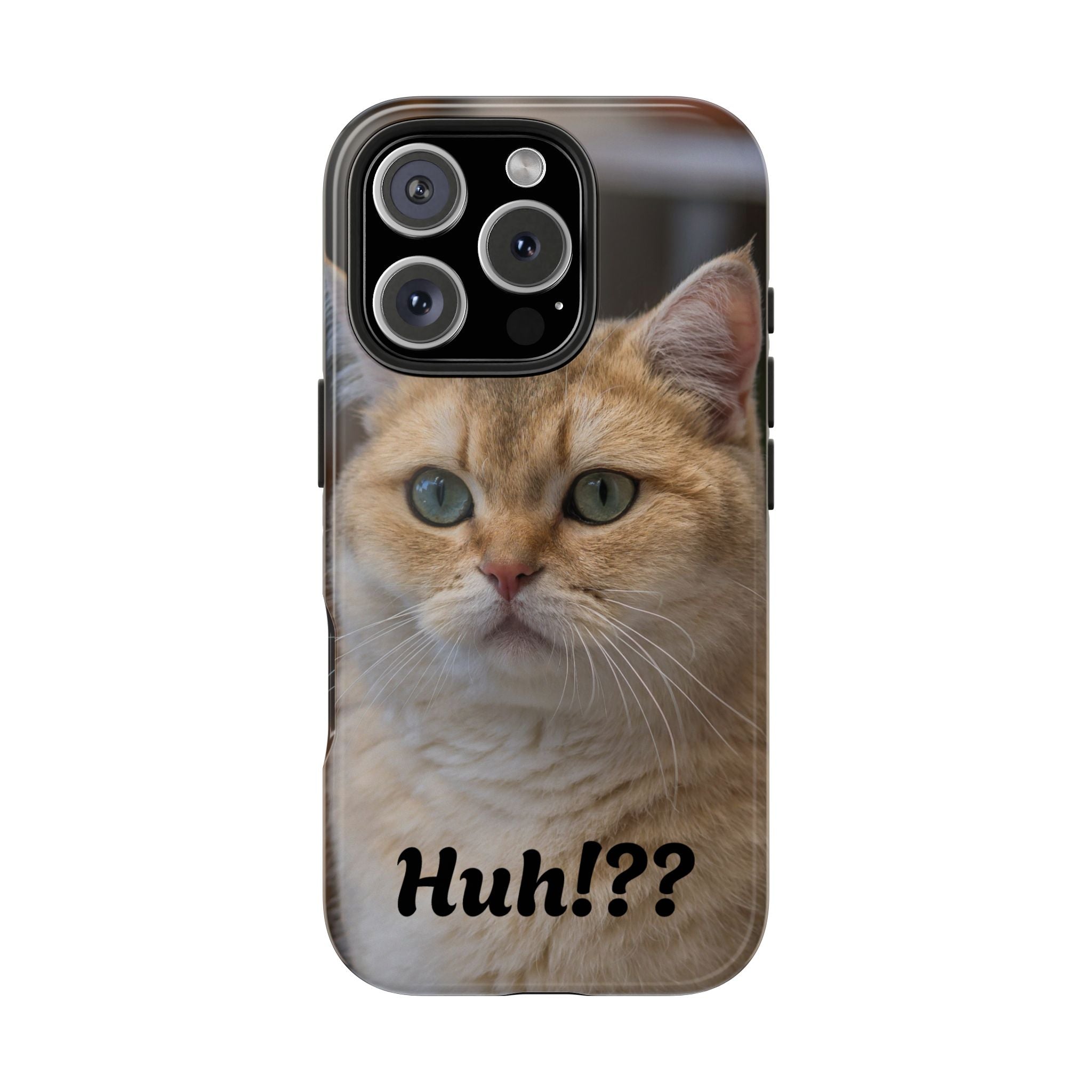 Confused Cute Cat IPhone Case