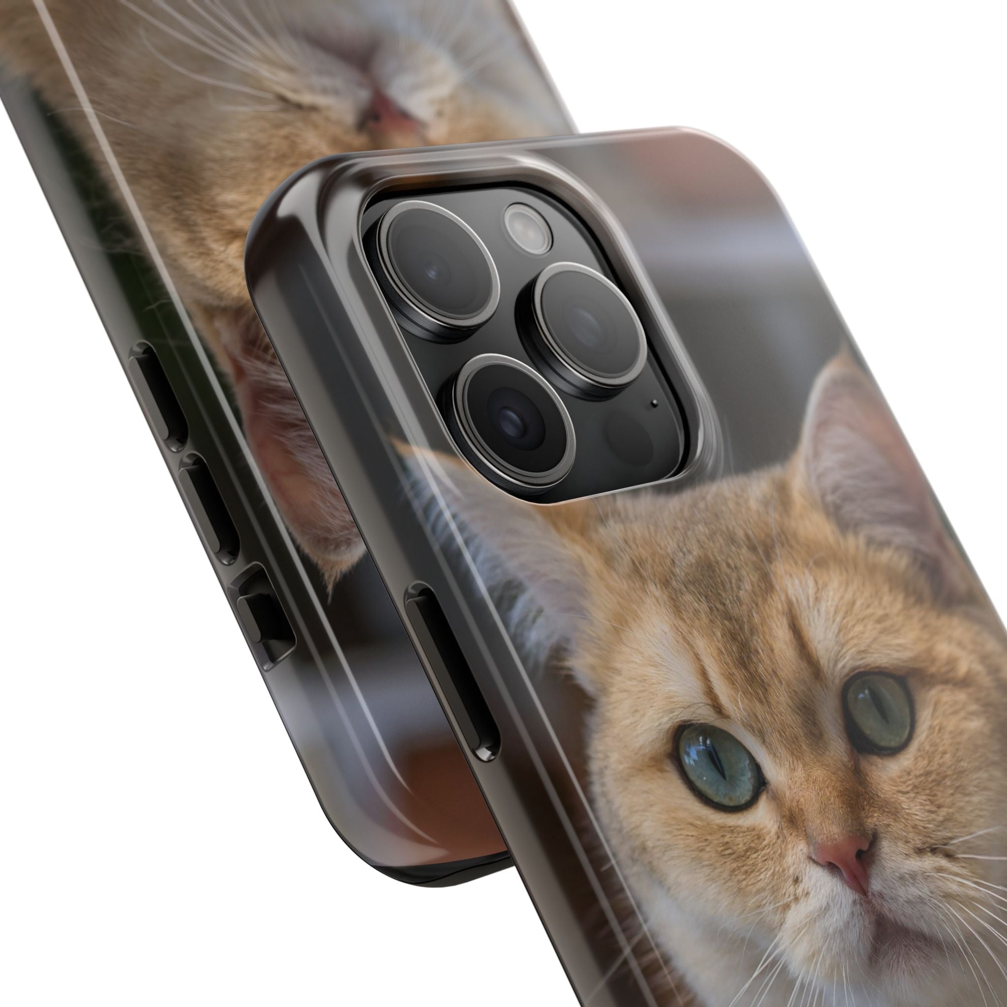 Confused Cute Cat IPhone Case