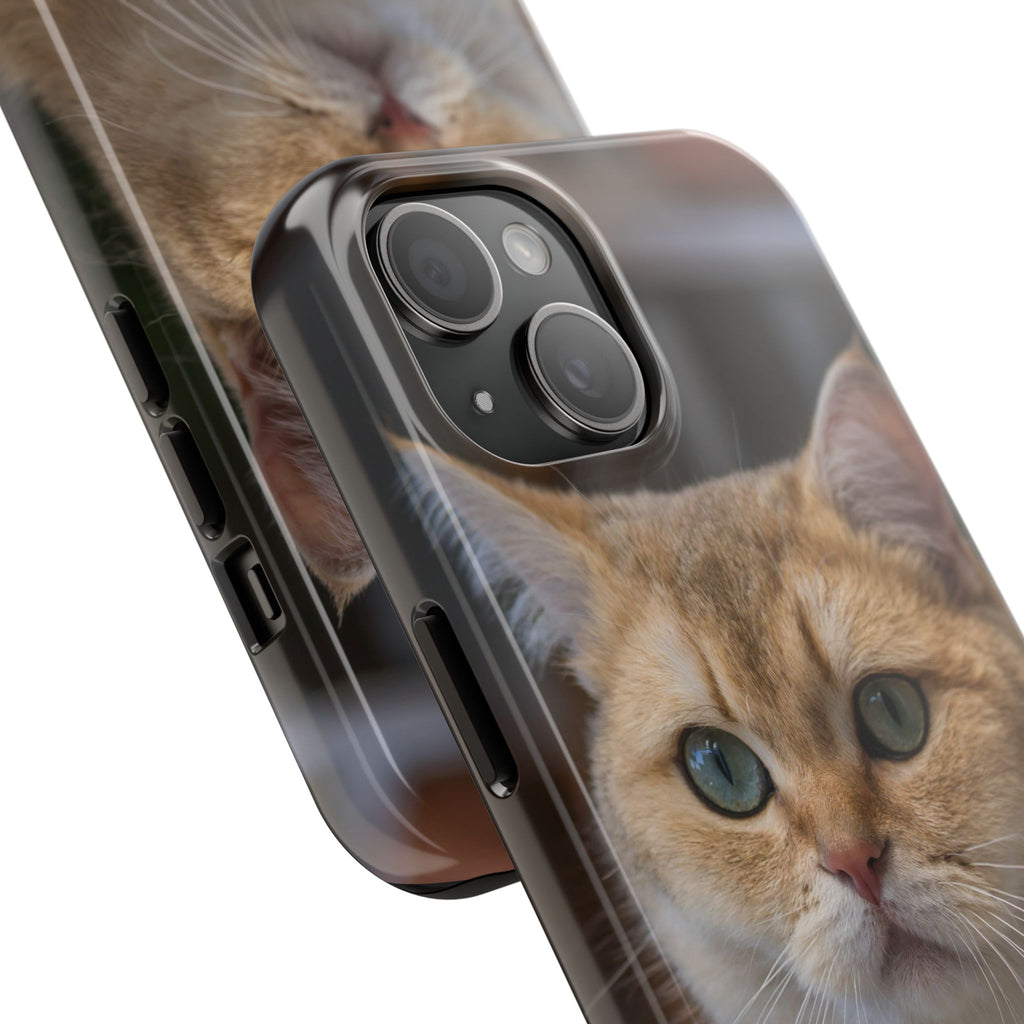Confused Cute Cat IPhone Case