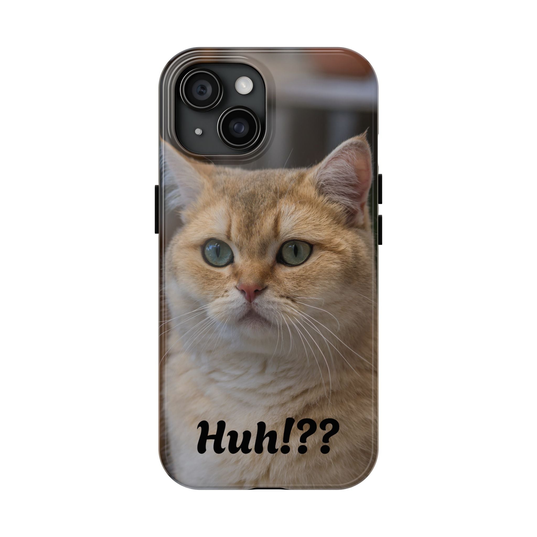 Confused Cute Cat IPhone Case