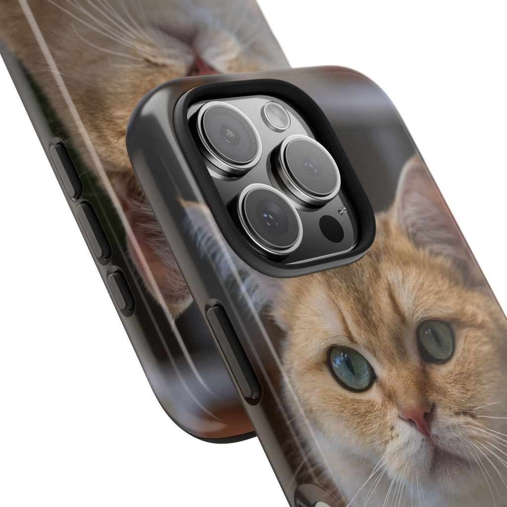 Confused Cute Cat IPhone Case