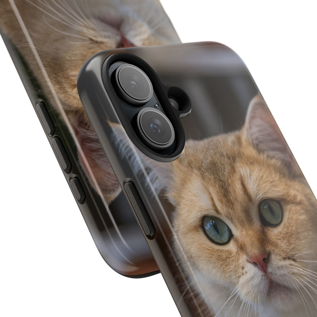 Confused Cute Cat IPhone Case