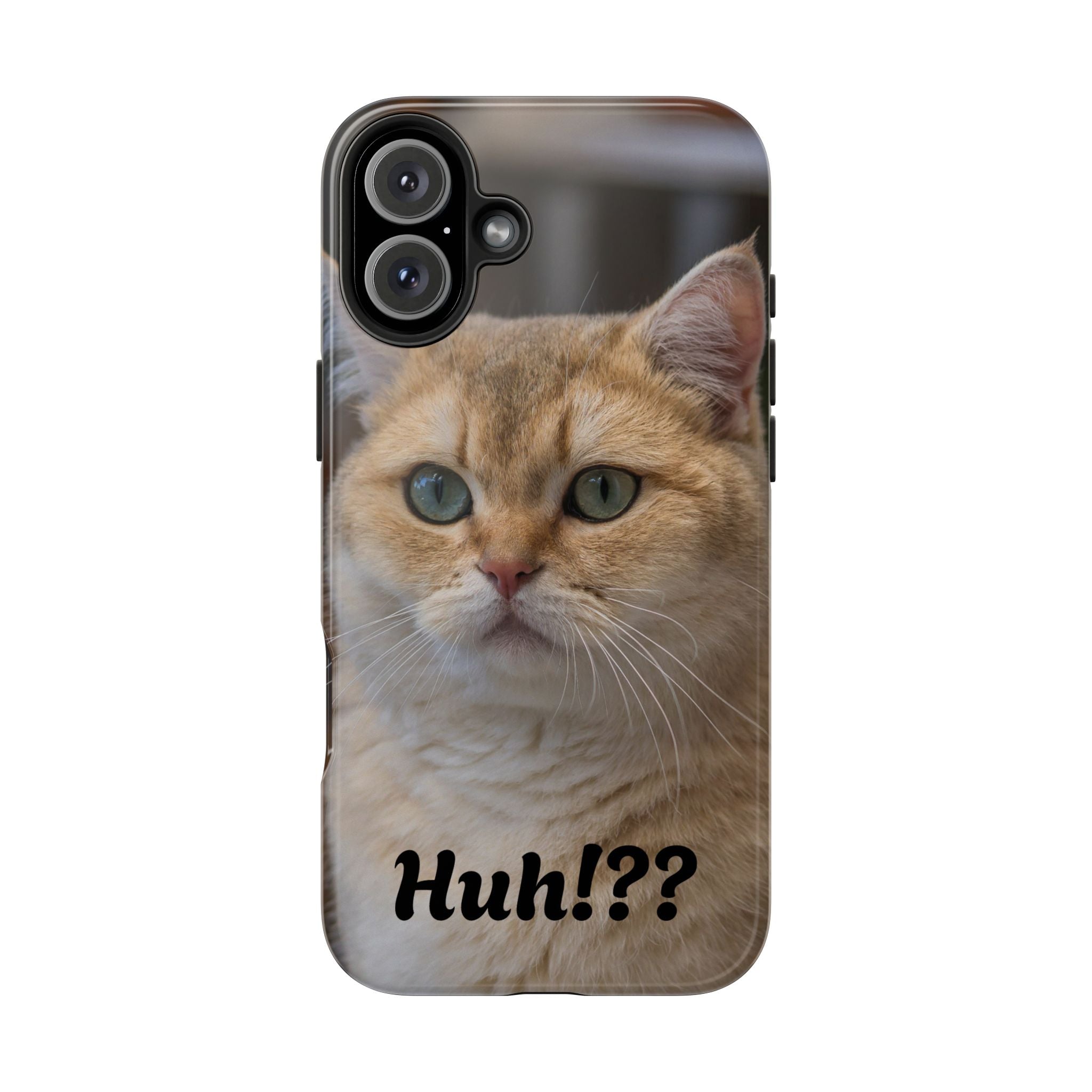 Confused Cute Cat IPhone Case