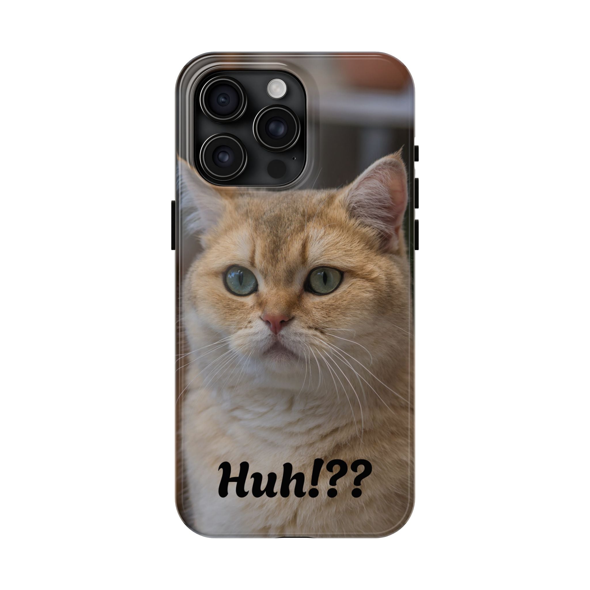 Confused Cute Cat IPhone Case