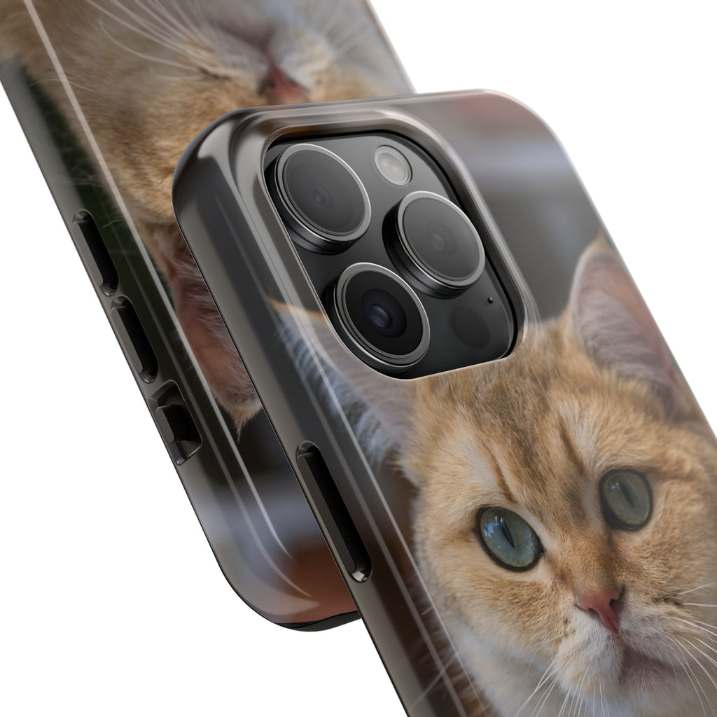 Confused Cute Cat IPhone Case
