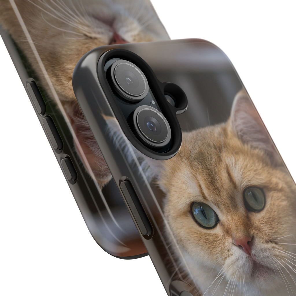 Confused Cute Cat IPhone Case