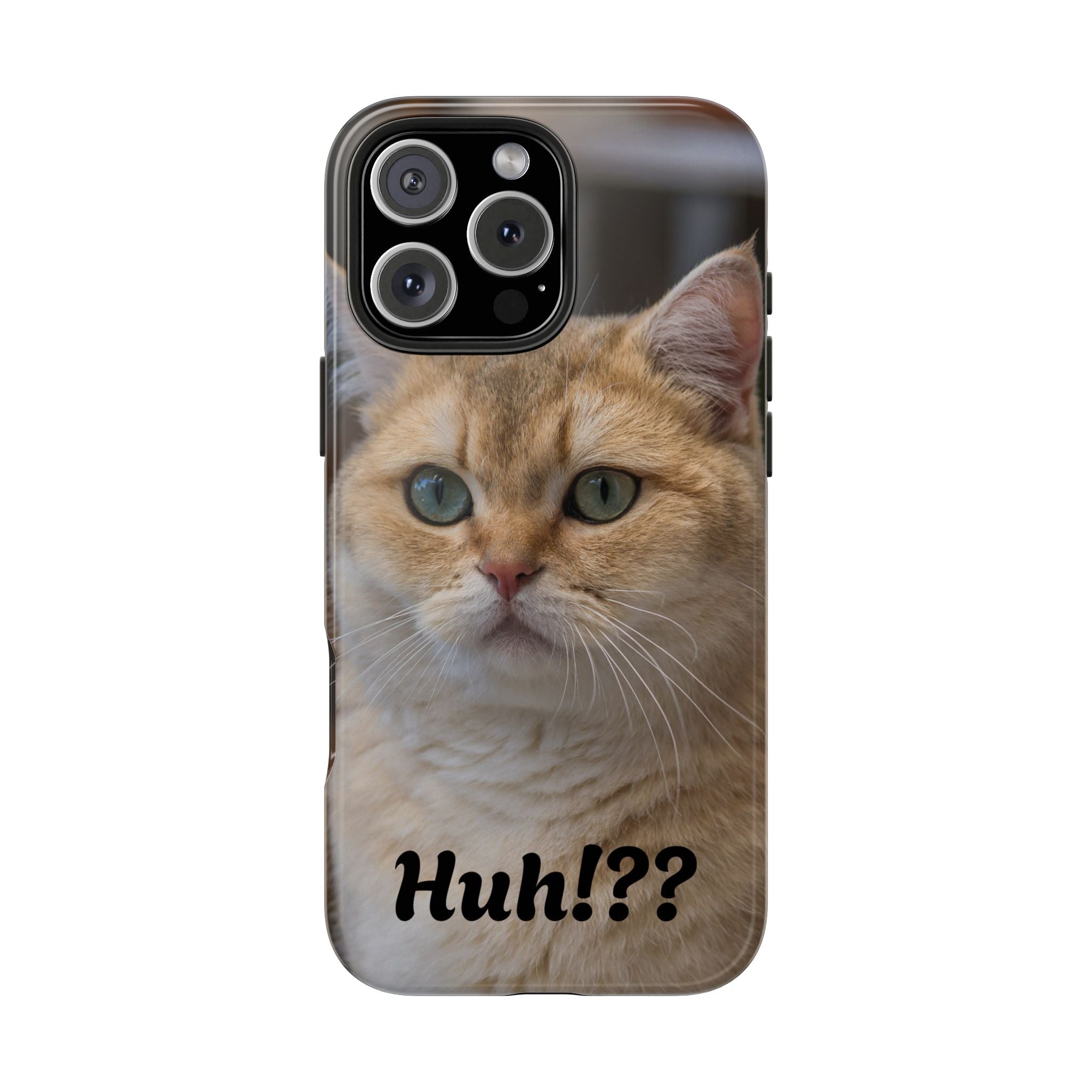 Confused Cute Cat IPhone Case
