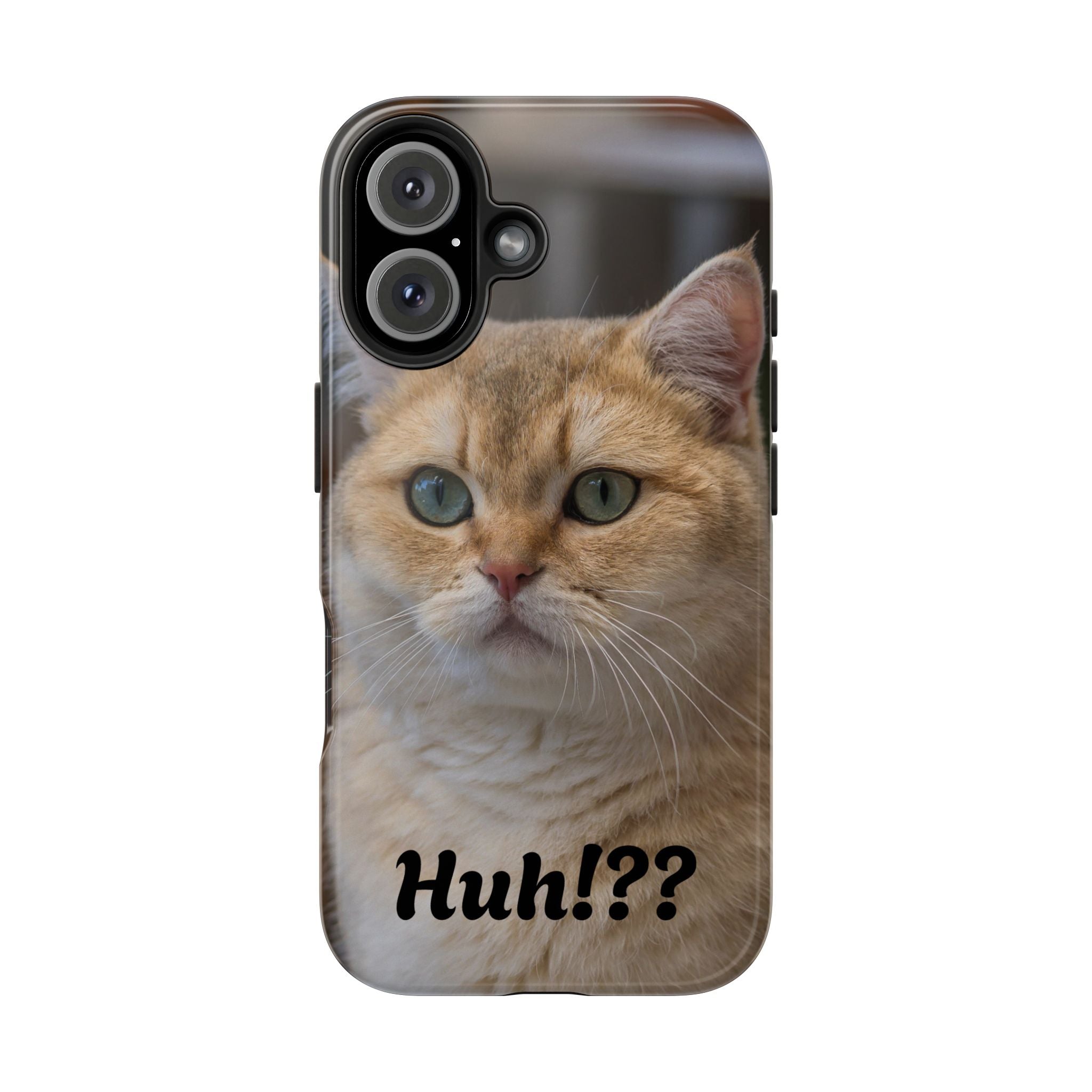 Confused Cute Cat IPhone Case