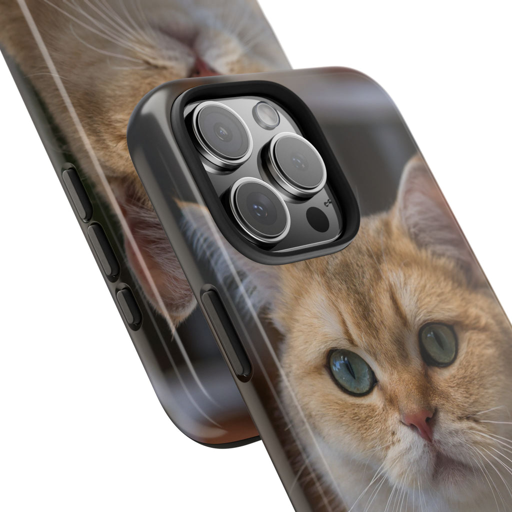 Confused Cute Cat IPhone Case